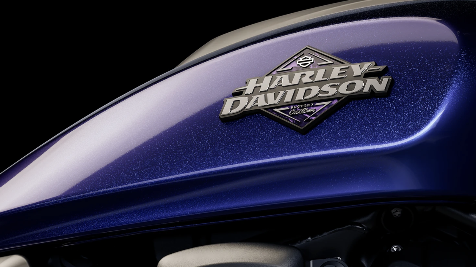 Harley-Davidson Factory Custom Paint & Graphics